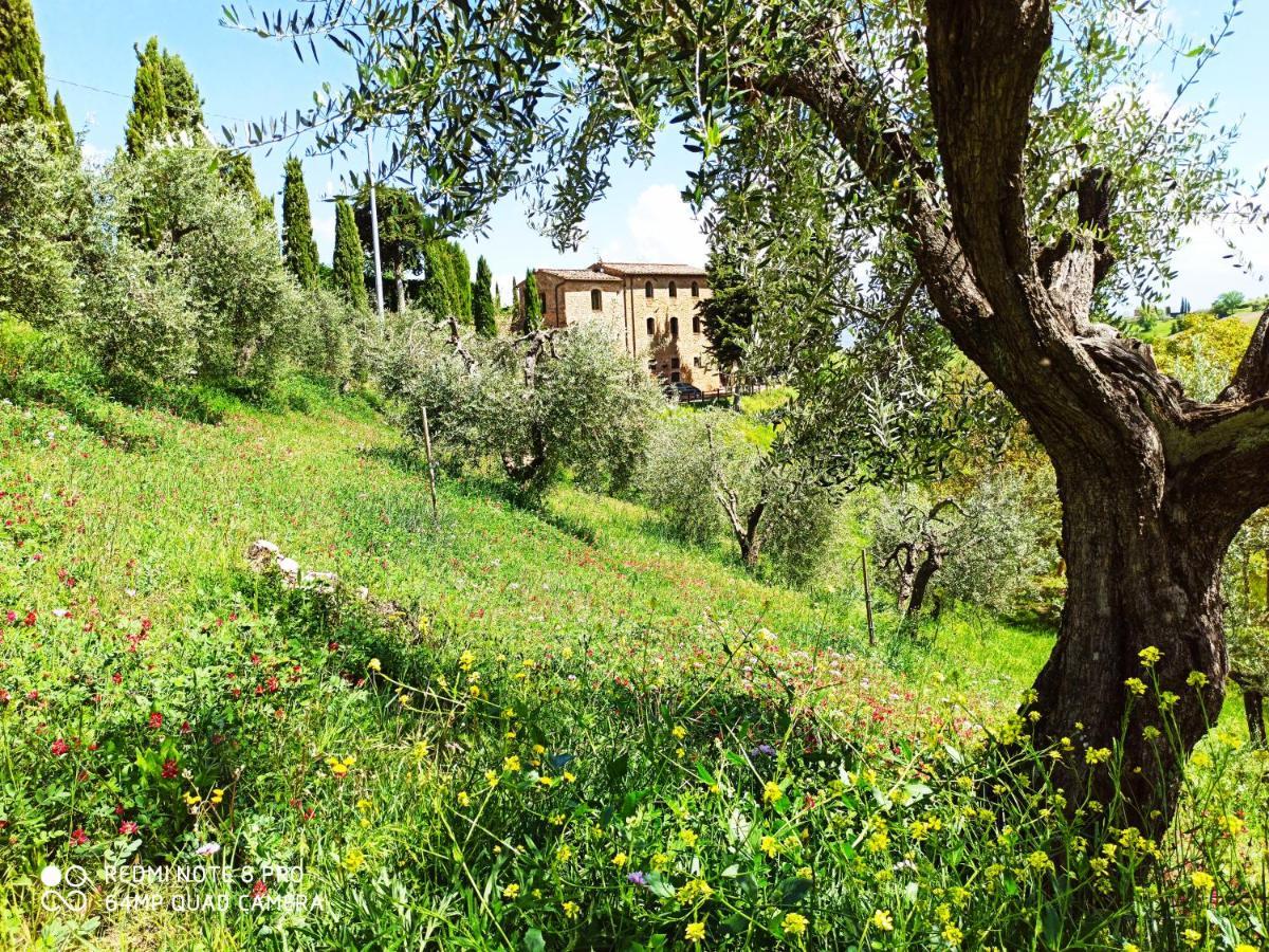 산지미냐노 Rocca Degli Olivi B&B 외부 사진